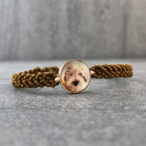 TAJANI BRACCIALE PUARINO CANE